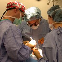 BrownPedSurgery (@brownpedsurg) 's Twitter Profile