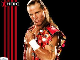 I love wwe, my favorite superstar is Daniel Bryan, I am funny, and I have a sense of humor