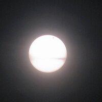lalita petila (@lalitapetila) 's Twitter Profile