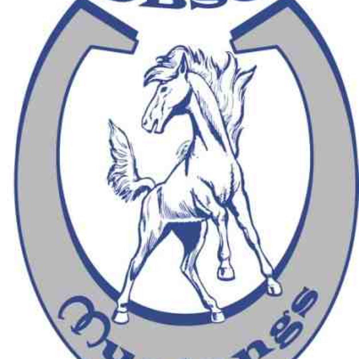 Dobson's Best on Twitter "Everyone go and support our Dobson softball