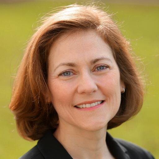 Former Executive Director of the eMINTS National Center.