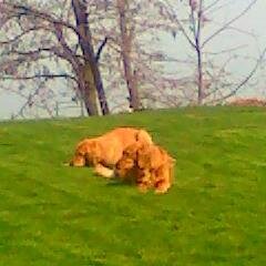 katydad92's profile picture. GRIN adoptee. nature loving, Libertarian leaning, Constitutional Conservative. MAGA, now and always.