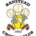 Banstead CC 3rd XI (@bansteadcc3rdxi) Twitter profile photo
