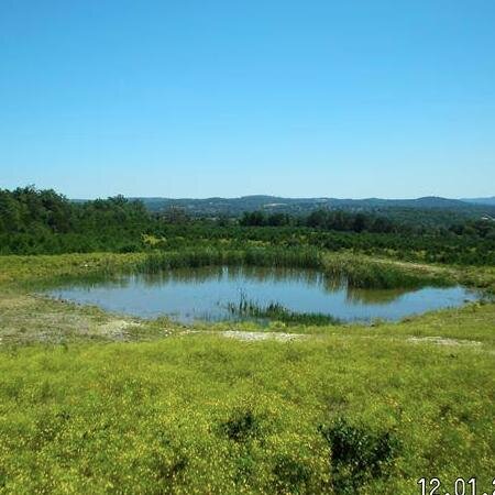 Two properties near Pyatt and Yellville Arkansas