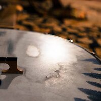 Gideon's Rifle (@gideonsrifle) 's Twitter Profile