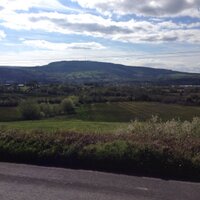 Ger Hoey (@gerhoey) 's Twitter Profile