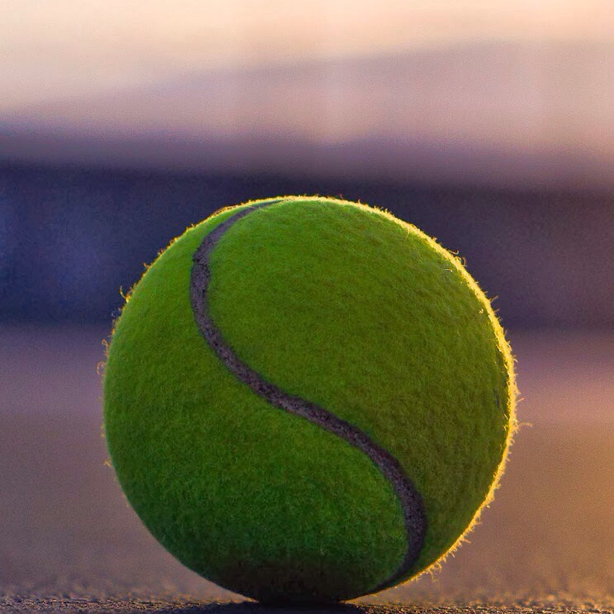 PiratasITF's profile picture. Estoy loco por el tenis me encanta ese juego tan emocionante... ♫♫♬♬♫♫