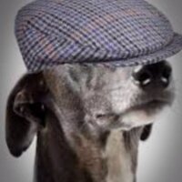 Yorkshire Stuff (@yorksstuff) 's Twitter Profile