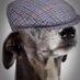 Yorkshire Stuff (@yorksstuff) Twitter profile photo