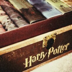 Ravenclaw. Amiga. Buscadora de Quidditch. Alumna. Buscando un mundo mágico. Hermana