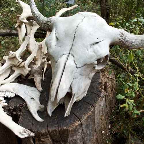 d_guthrie's profile picture. Books Golf Movies Bridge Photagraphy Politics