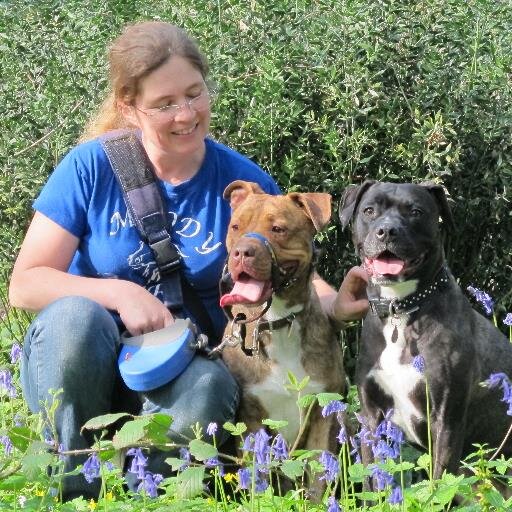 rummibailey's profile picture. 