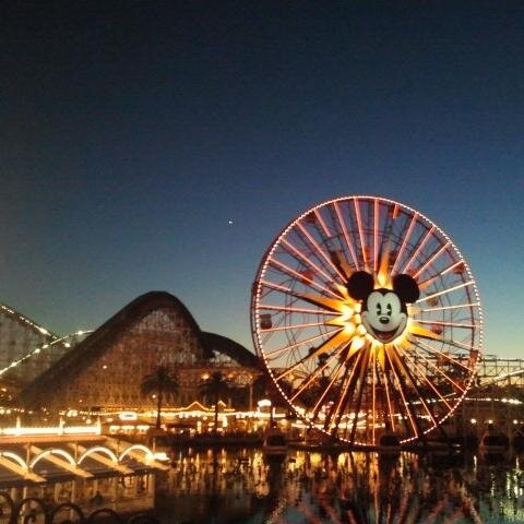 ConfettiCups's profile picture. Writer, Gamer, Filmmaker, Disneyland Castmember. I love sports and most beverages. Thoughts are my own!