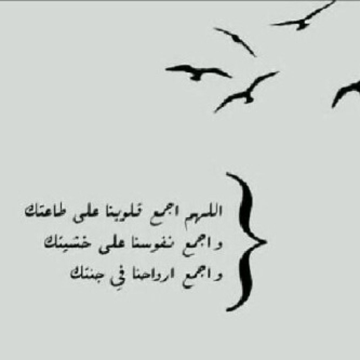 ولأنني أحببتها محبةً صادقه ، محبة أختٍ لأختها أردتُ أن يكون لها نصيبٌ من الخير والأجر * ربي أبعد عنها كُل ضيقٍ يحومُ في صدرها واجعل السعادة نصيبها *