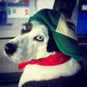 Bobbi Johnson - @BrewMasterMimi - Twitter