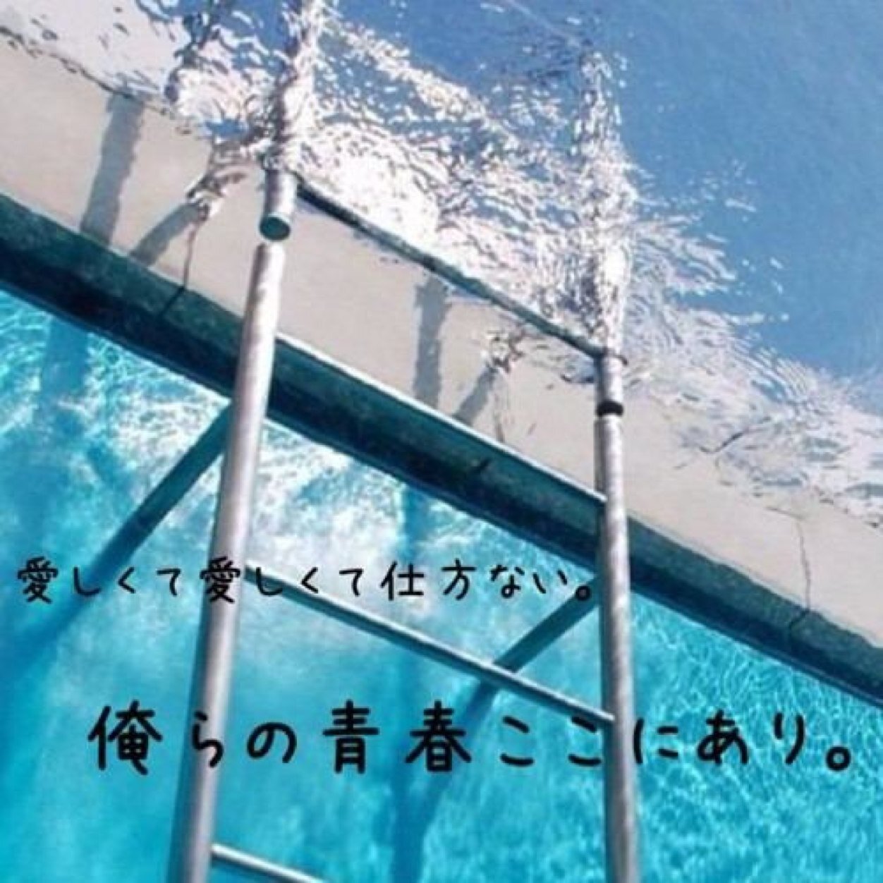 水泳部マネージャー Swim Manager Twitter