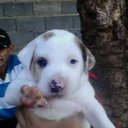 pedro pablo capo - @pedropablocapo1 - Twitter