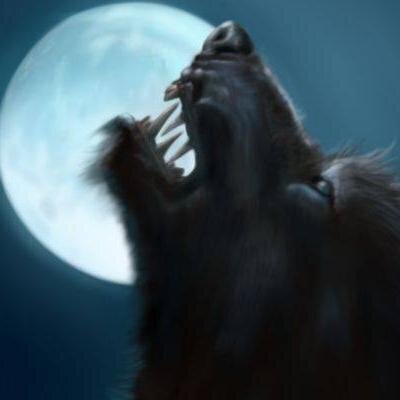 OrlyyCacerola1's profile picture. 