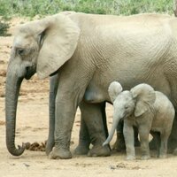 Paul Verzosa (@finstigator) 's Twitter Profile