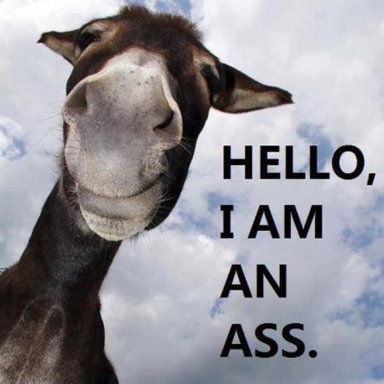 csbubba5's profile picture. 