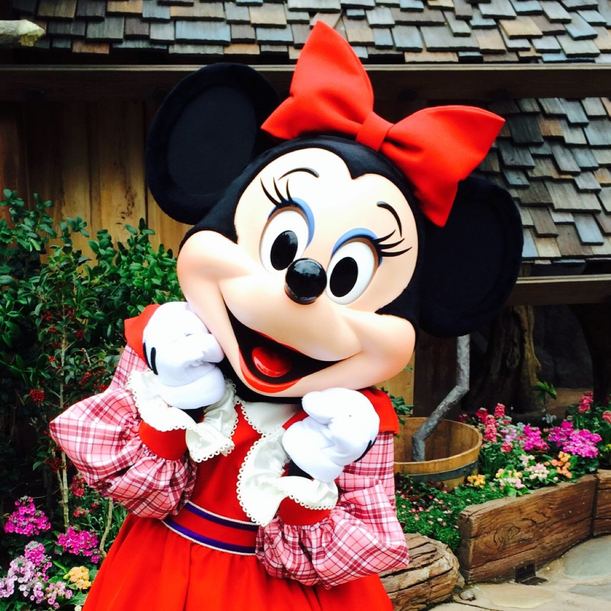 emito0402's profile picture. 神奈川県在住の一般的なディズニーヲタで、ねこ好きのシステムエンジニア✌︎('ω'✌︎ )