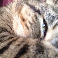 taps1 (@tapss1_) 's Twitter Profile