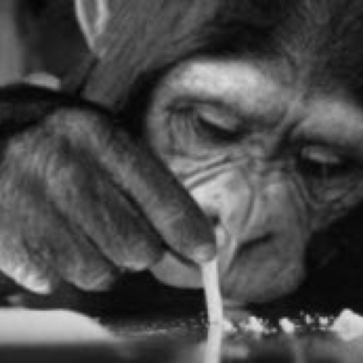 #MGOD Monkey Gang Or Die