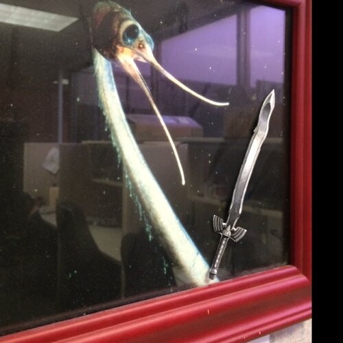 I am Fishbird the great protector of the A/V offices. Follow for my adventures