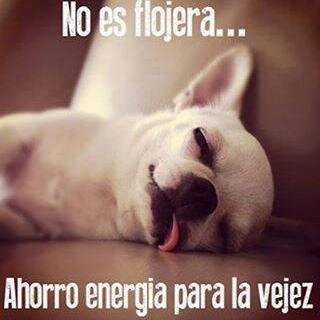 martha12334's profile picture. 