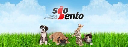 Consultas, Vacinas, Cirurgias, Hospitalização, Odontologia, Oftalmologia, Raio-X, Ultrassonografia, Ortopedia, Dermatologia, Oncologia, Hospedagem .