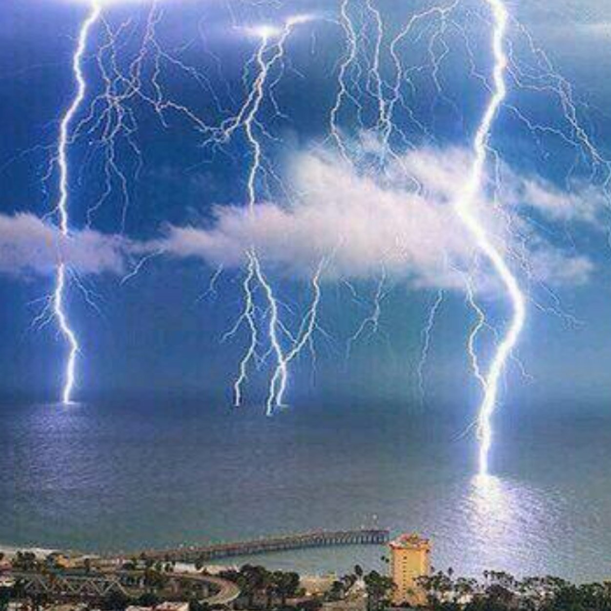 666_mahdi's profile picture. 