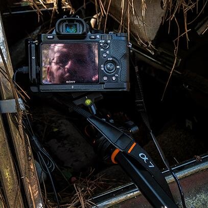 davidakoubian's profile picture. Nature Photographer