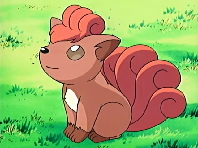 SixTailsVulpix's profile picture. I'm a Male Vulpix, so that means you better not call Me beautiful, back up I will use ❝ Ember ❞ #Natureserious