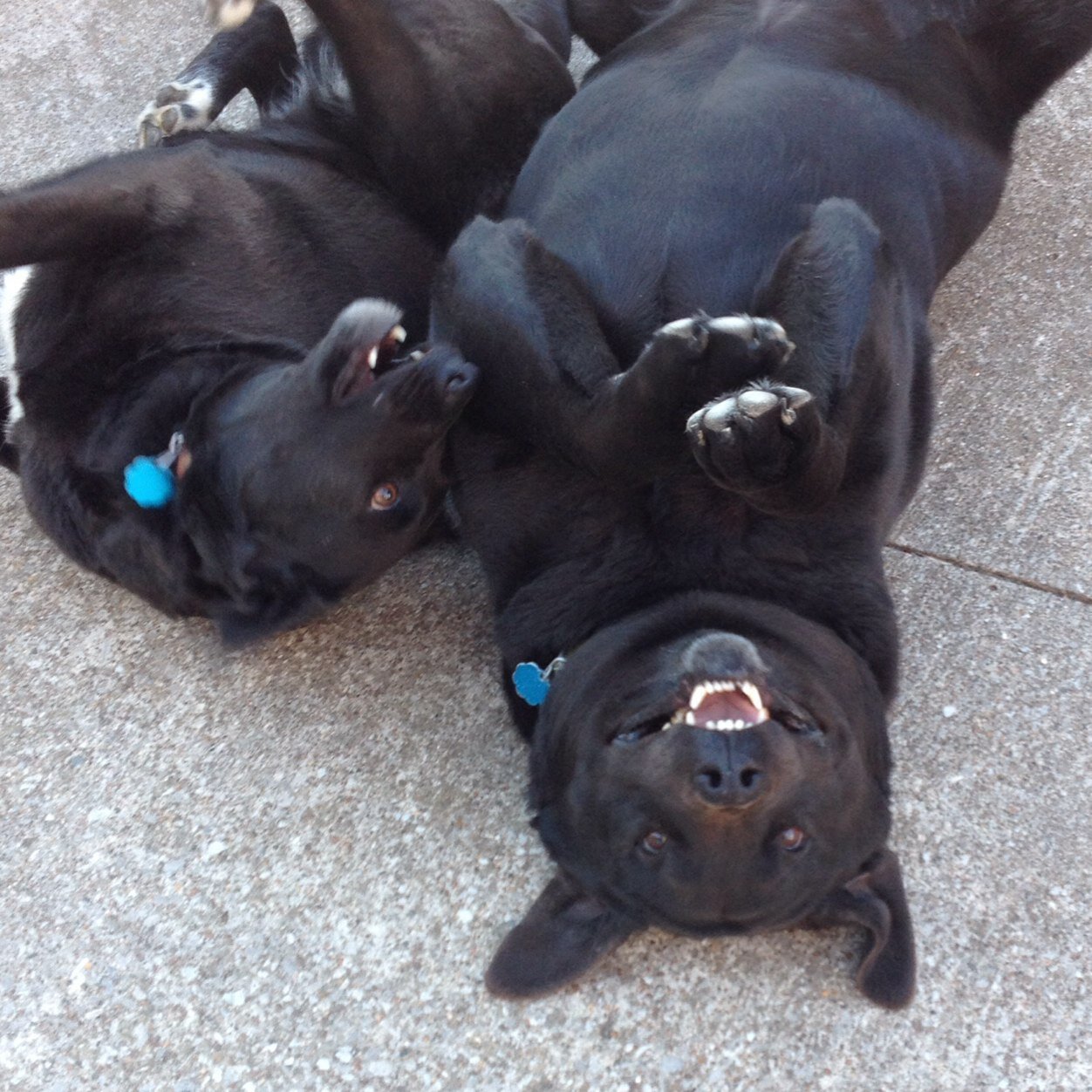 tedmc13's profile picture. 