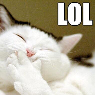 amndabynescrazy's profile picture. test