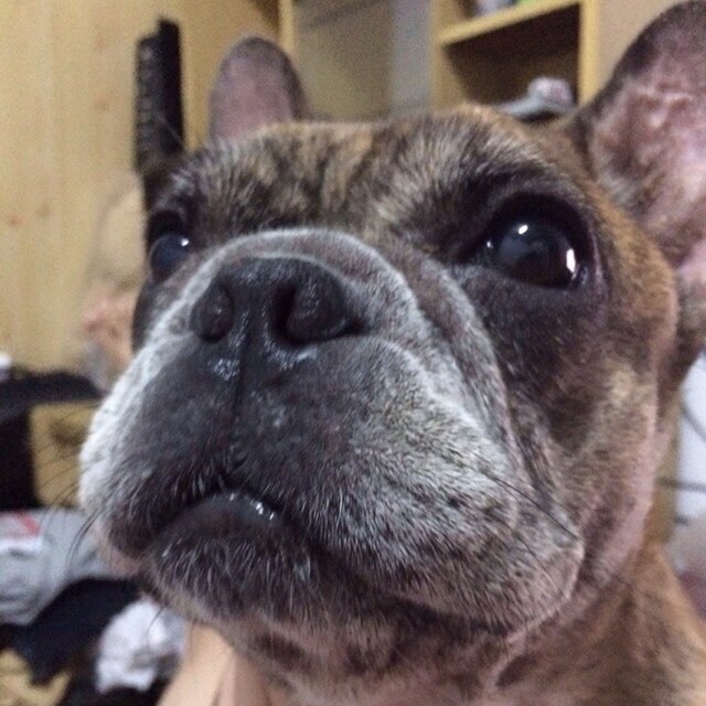 YuanHe_Liu's profile picture. 