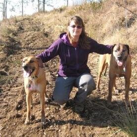 k9partnership's profile picture. Certified Professional Dog Trainer and Behavior Consultant.