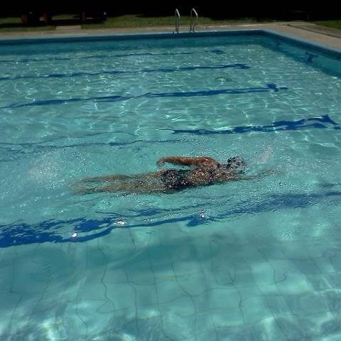 daliaguerreros's profile picture. 