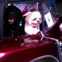 Garry Alexander - @gwvt68c - Twitter