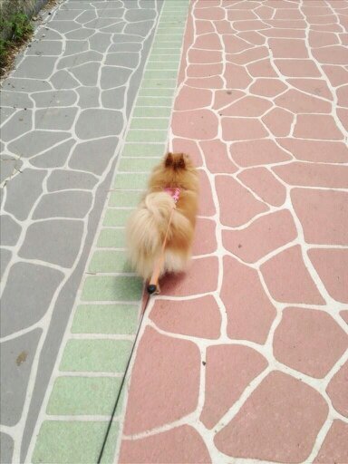 sundayhappytime's profile picture. テキトーに楽しくをモットーに生きます！