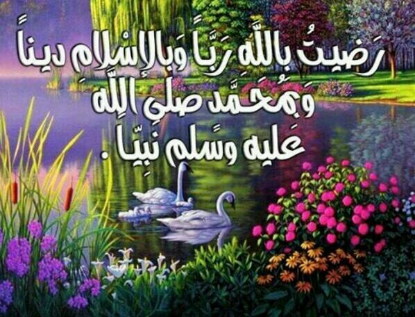 رضاك ربي والجنه