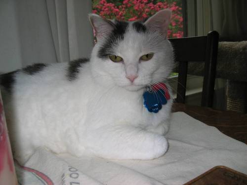 Cherokee129's profile picture. 