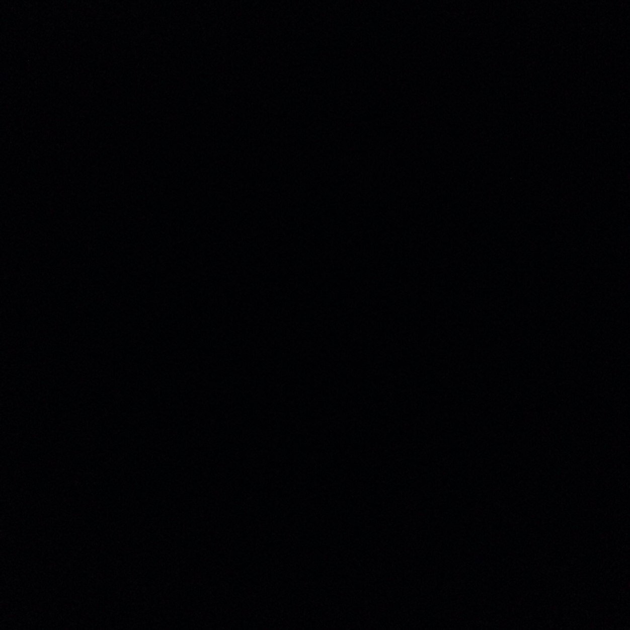 JoanneLimonte's profile picture. 