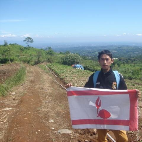 THE POWERFULL OF SCOUT
