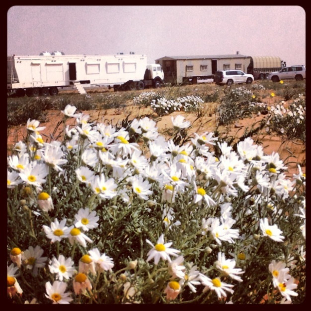 سبحان الله وبحمده