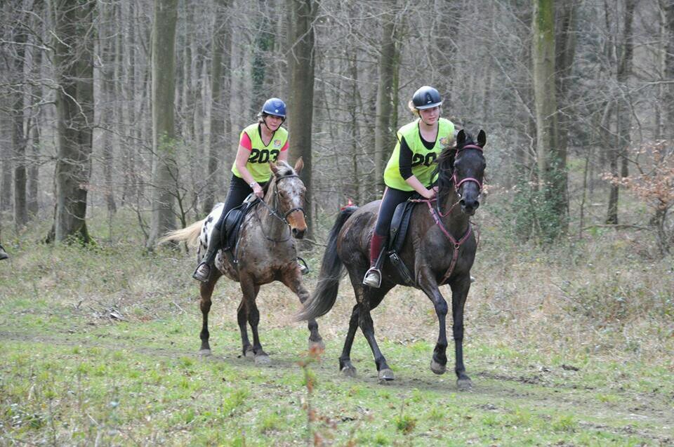 2* endurance young rider
