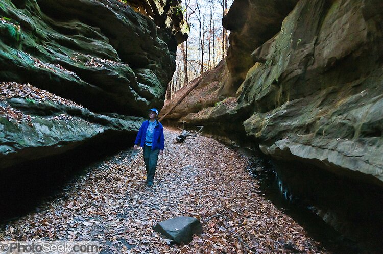 JavP_100's profile picture. 