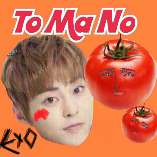 　EXOplanet♥XIUMIN　　　sunny     雑食 　97line　　チャンベク部No.73　　私の師匠⇨赤パプリカ　24日ロスプラ参戦済　　　　ヨジャチングにハマり中