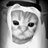 djnismo's profile image