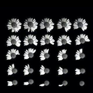 شفتو ذي ؟ @Joudi_66 احبها اكثر منكم كلكم ♡!